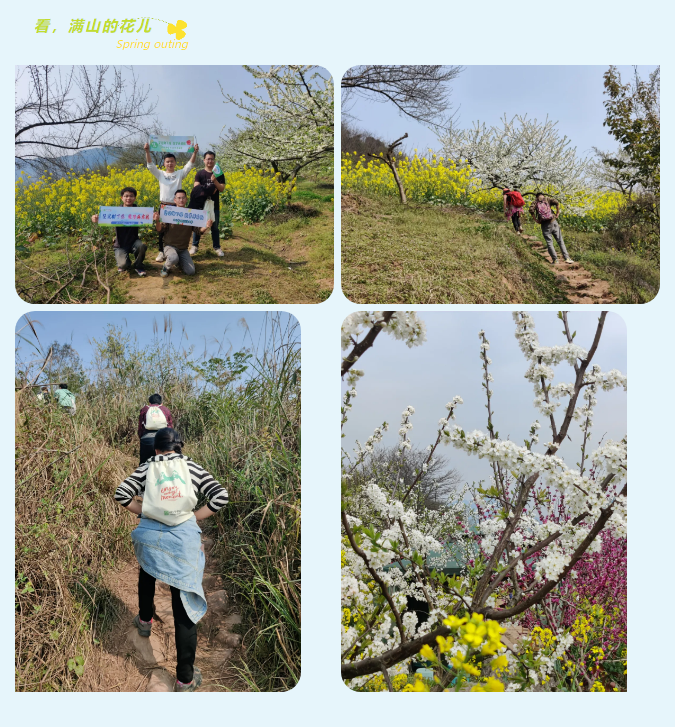 看，滿山的花兒.jpg